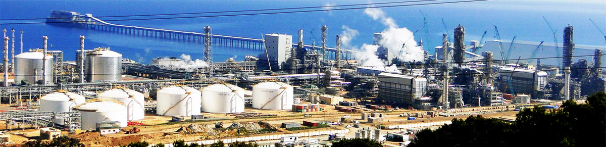 Projects and Development India Limited