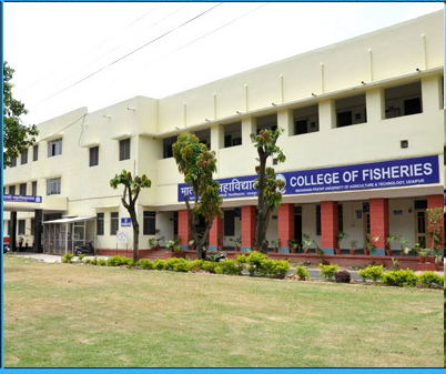 College of Fisheries Udaipur