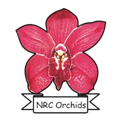 National Research Centre for Orchids