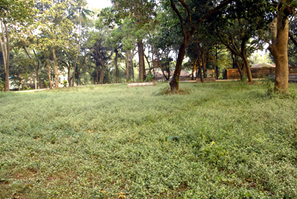 New Mangalore Port Trust