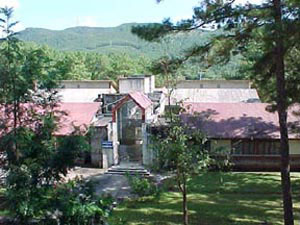 North Eastern Hill University