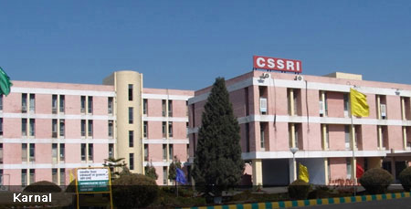 Central Soil Salinity Research Institute