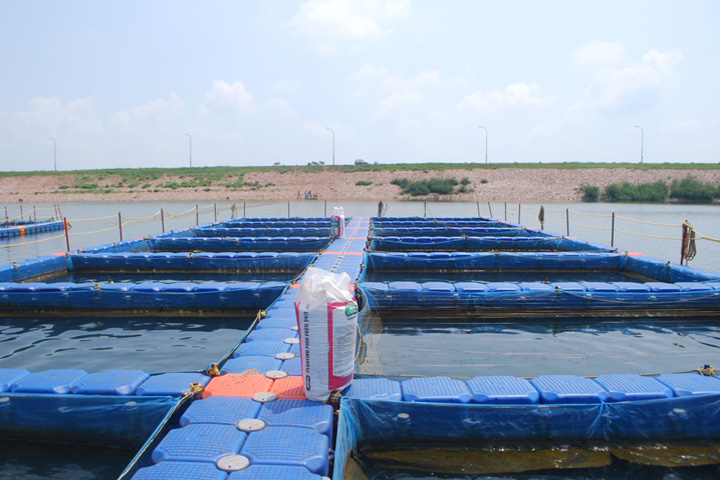 Department of Fisheries Chhattisgarh