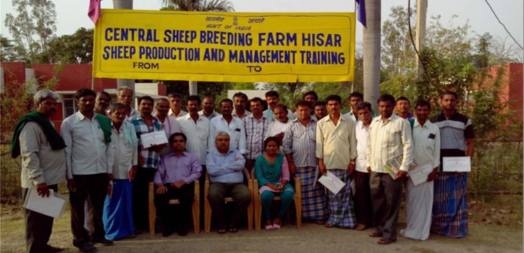 Central Sheep Breeding Farm