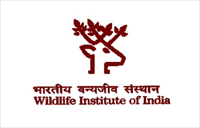 Wildlife Institute of India