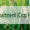 Department of Agriculture Mizoram
