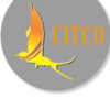 Chandigarh Industrial and Tourism Development Corporation (CITCO)