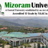 Mizoram University