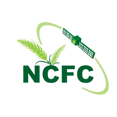 MNCFC Logo