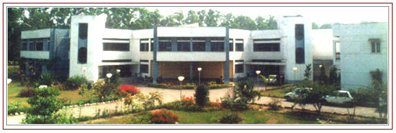 Indian Institute of Bank Management Logo