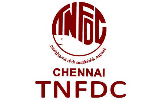 Tnfdc Recruitment 2021 2022 Tnfdcltd Co In Jobs Choose from 160+ team logo graphic resources and download in the form of png, eps, ai or psd.