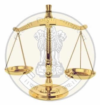 Delhi District Courts Logo