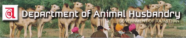 Animal Husbandry Rajasthan Recruitment 2022 For 300 Livestock Assistant -  