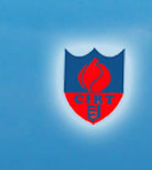 Central Institute of Road Transport