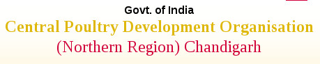 Central Poultry Development Organisation