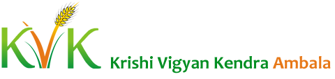 Krishi Vigyan Kendra Ambala