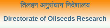 Directorate of Oilseeds Research