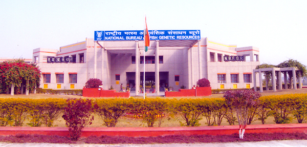 National Bureau of Fish Genetics Resources