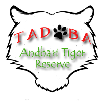 Tadoba Andhari Tiger Reserve